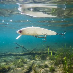 Isca Artificial Lucky By Nelson Nakamura Queen 70 - 7cm / 6g Cor 101